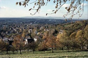 Freiburg i. Br.: Von der Eichhalde auf Herbstbäume in Richtung Kaiserstuhl