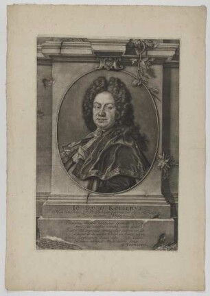 Bildnis des Io. David Koelervs