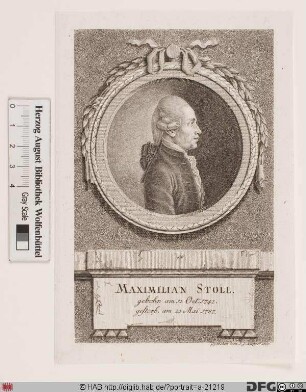 Bildnis Maximilian Stoll