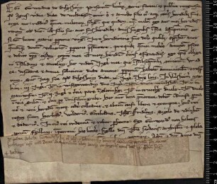 Dolgesheim: Gerhard v. Dolgesheim verkauft der Witwe Agnes v. Wildenstein eine Gülte von Gütern bei Dolgesheim