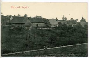 Heynitz. Blick auf Heynitz