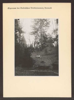 Waldweg mit drei Damen. Detmold. Heiligenkirchen. Sammlung Priester