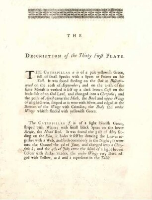 The Description of the Thirty First Plate