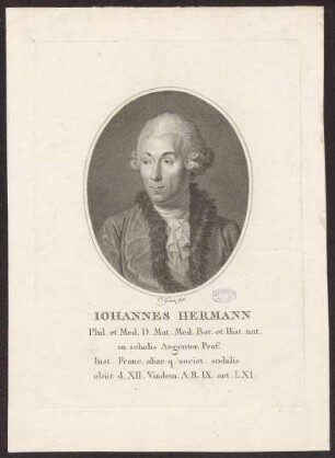 Hermann, Johann