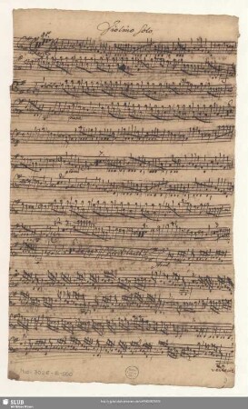 Violino Solo.