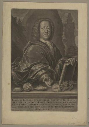 Bildnis des Ioannes Iacobus Scheuchzer