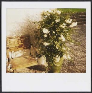 Blumenstock in Neusäß