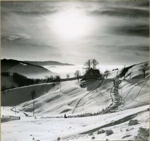 Schneelandschaft