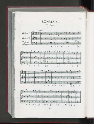 Sonata XII.