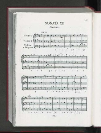 Sonata XII.