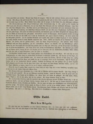 [Elfte Tafel. - Fünfzehnte Tafel.]