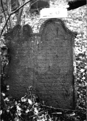 Grabstein 850 (Index: 99751256) Material: Sandstein Zustand: verwittert Maße HxBxT: 117x87x11 cm Beschreibung: Doppelstele, Schriftfelder eingetieft: Grabstein 850
