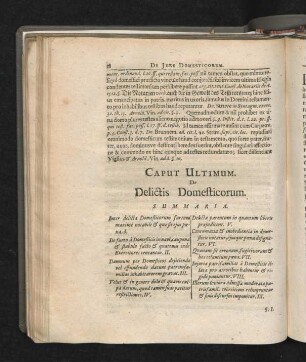 Caput Ultimum. De Delictis Domesticorum.