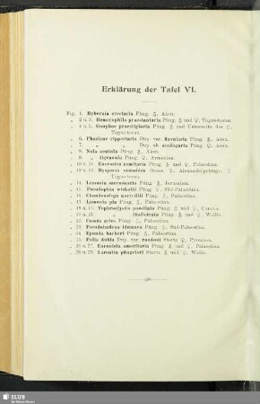 Erklärung der Tafel VI.