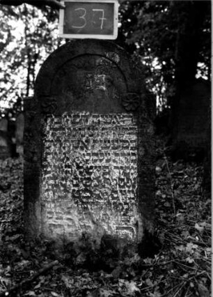 Grabstein 37 [Nir S. 49 Nr. 4.03]