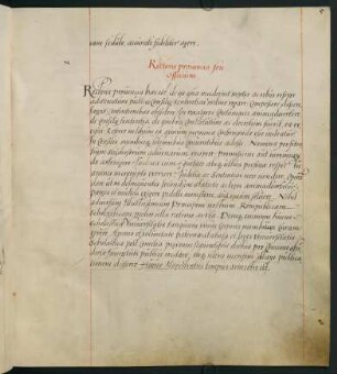 Rectoris provincia seu officium.