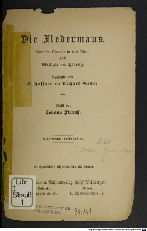 Die Fledermaus