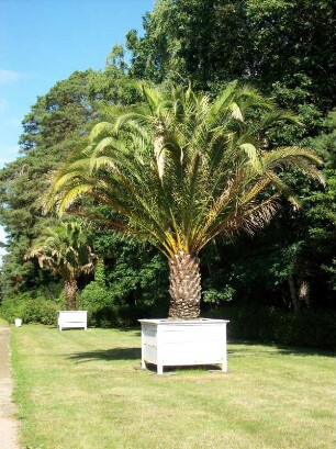 Oranienbaum: Schloßpark