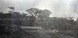 Kolonialbeamte, Angehörige der Schutztruppe und mehrere afrikanische Arbeiter neben gestapeltem Holz