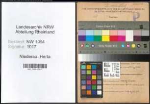 Entnazifizierung Herta Niederau , geb. 06.01.1903 ()