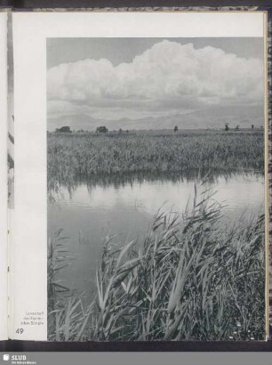 Landschaft der Pontinischen Sümpfe