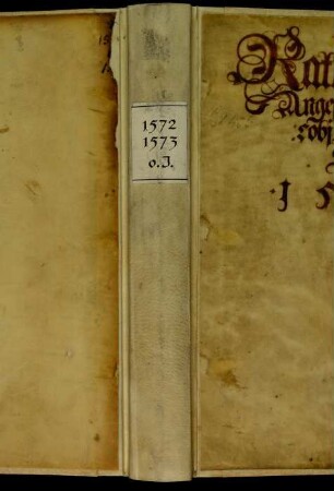 Ratsprotokolle, 1572 Juli 29. - 1573 Juli 26.
