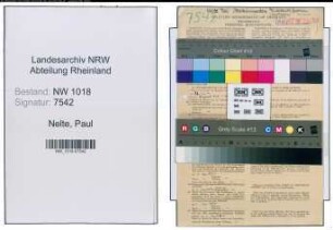 Entnazifizierung Paul Nelte , geb. 26.02.1893 (Inspektor)