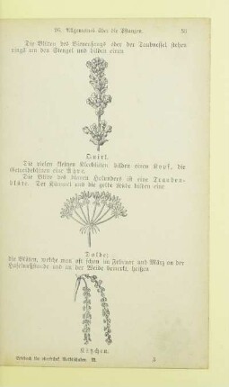 Allgemeines über die Pflanzen