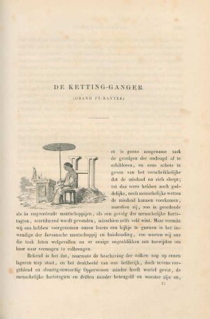 De ketting-ganger