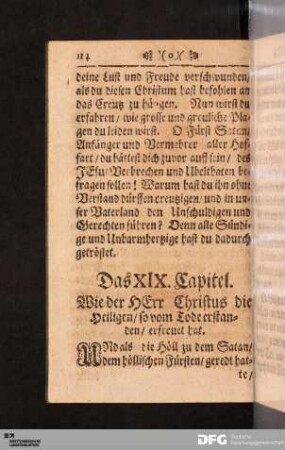 Das XIX. Capitel.