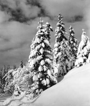 Winterlandschaft
