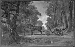 Pferdekutsche in Parklandschaft