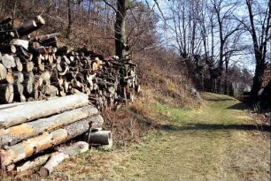 Weg am Dorfrand mit gestapeltem Holz im Wintersonnenschein