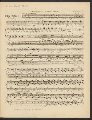 Violoncello e Contrabasso