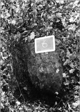 Grabstein 6 (Index: 100090596) Material: Sandstein Maße HxBxT: 0x0x0 cm Beschreibung: Fragment: Grabstein 6