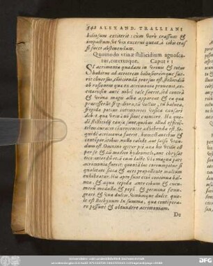 Quomodo urinae stillicidium agnoscatur, cureturque. Caput VI
