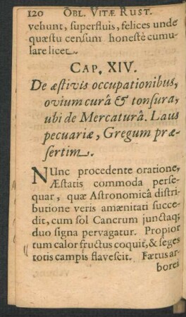 Cap. XIV. De aestis occupationibus, ovium cura & tonsura, ubi de Mercatura.