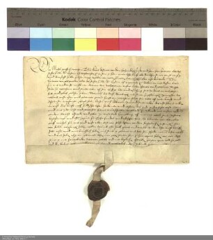 Revers Michaels Graf von Wertheim bezüglich der Belehnung mit dem Dorf Remlingen durch Hartmann [Burggraf von Kirchberg], Abt von Fulda