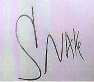 SNAKE