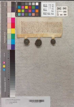 Hermann vom Broke und die Brüder Eghart und Johann vom Broke geben dem Kloster Marienfeld ihr Recht am Gute tor Beke zu Lodere.