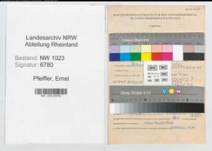 Entnazifizierung Ernst Pfeiffer , geb. 19.11.1884 (Bauinspektor)