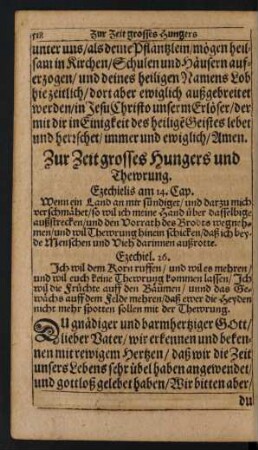 Zur Zeit grosses Hungers und Thewrung