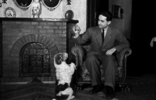 Bukarest: Wohnung Miller, Herr mit Foxterrier, macht Männchen