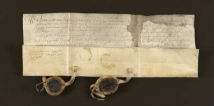 1620 März 31. Lehnsbrief. Exterde Schwartze an Kleinsorgen Grevenmasch.