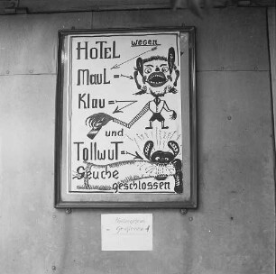 Tollwut im Stadtgebiet und Maul- und Klauenseuche in Knielingen.