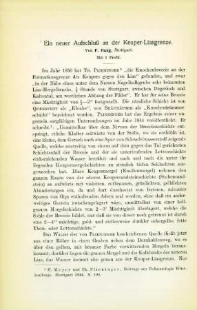 Ein neuer Aufschluß an der Keuper-Liasgrenze