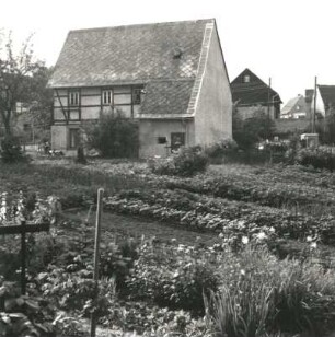 Colditz-Möseln, Seuphaner Straße 13. Häuslerhaus (1. H. 19. Jh.). Straßenansicht