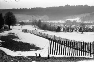 Hinterzarten: Hochmoor im Schnee bei Hinterzarten