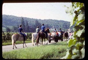 Pantaleonsfest mit Pferdesegnung im Kaiserstuhl