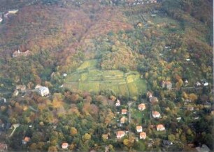 Dresden-Wachwitz. Wachwitzer Höhenpark mit Neuer Villa (Königliche Villa), Schloß Wachwitz und Weinberg. Luftbild-Schrägaufnahme von Südwest